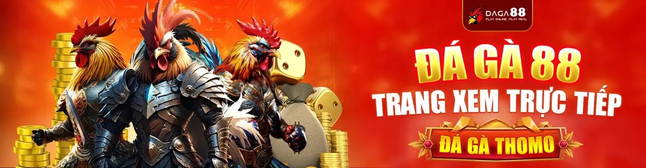 Sân đấu đá gà trực tuyến sôi động tại MCW66